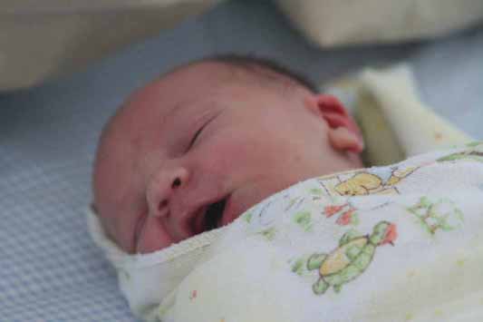 swaddled