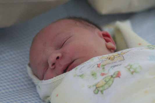 swaddled